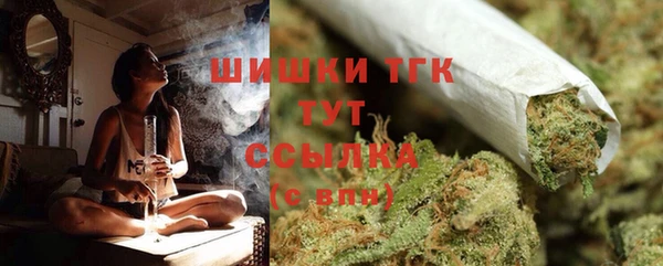 PSILOCYBIN Алексеевка