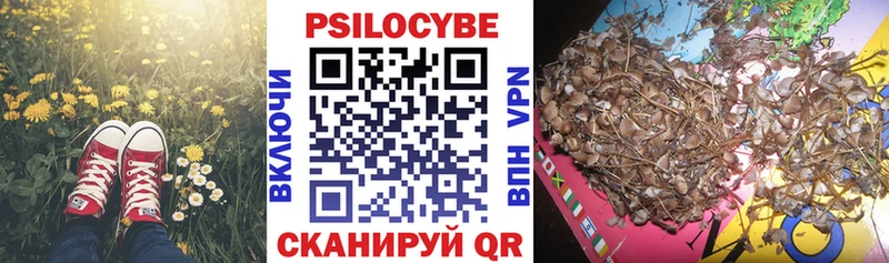кракен как зайти  Набережные Челны  Псилоцибиновые грибы ЛСД  как найти закладки 